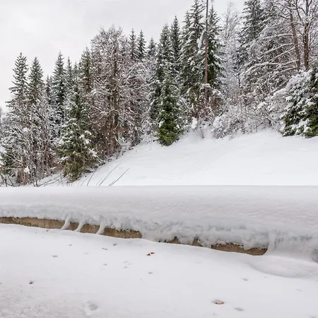 Hornblick * Fieberbrunn